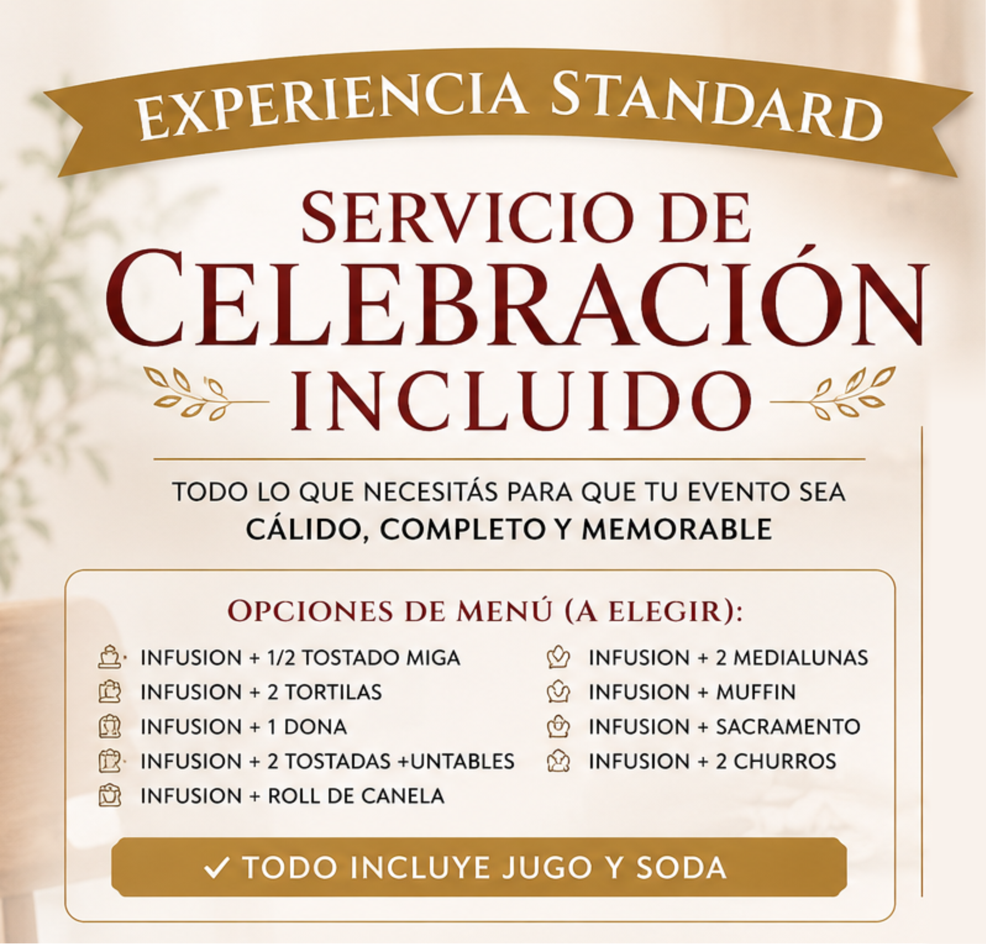 EXPERIENCIA STANDARD